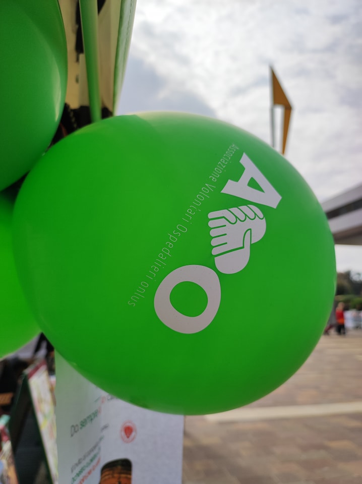 immagine di galleria