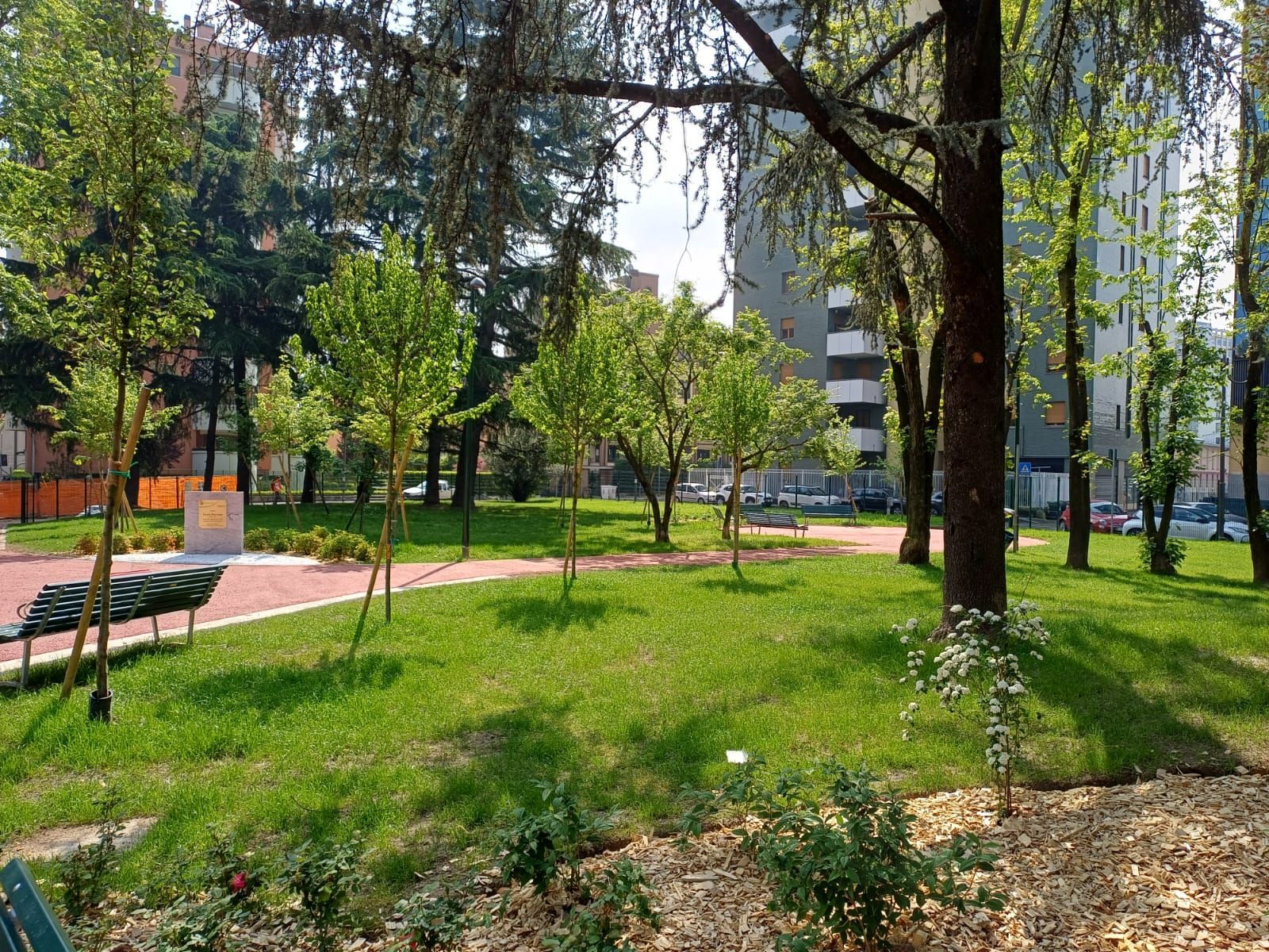 immagine di galleria