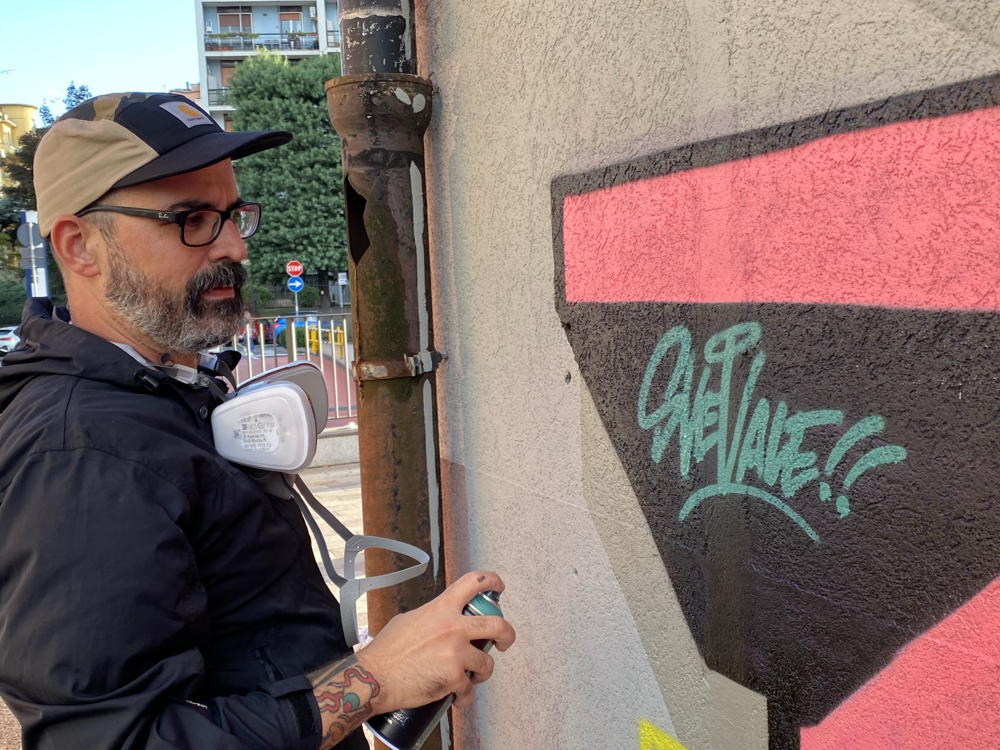 immagine di galleria