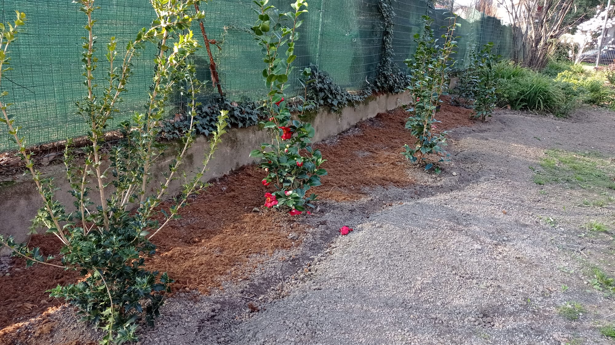 immagine di galleria 'Restyling del giardino di villa Mylius - prima parte'