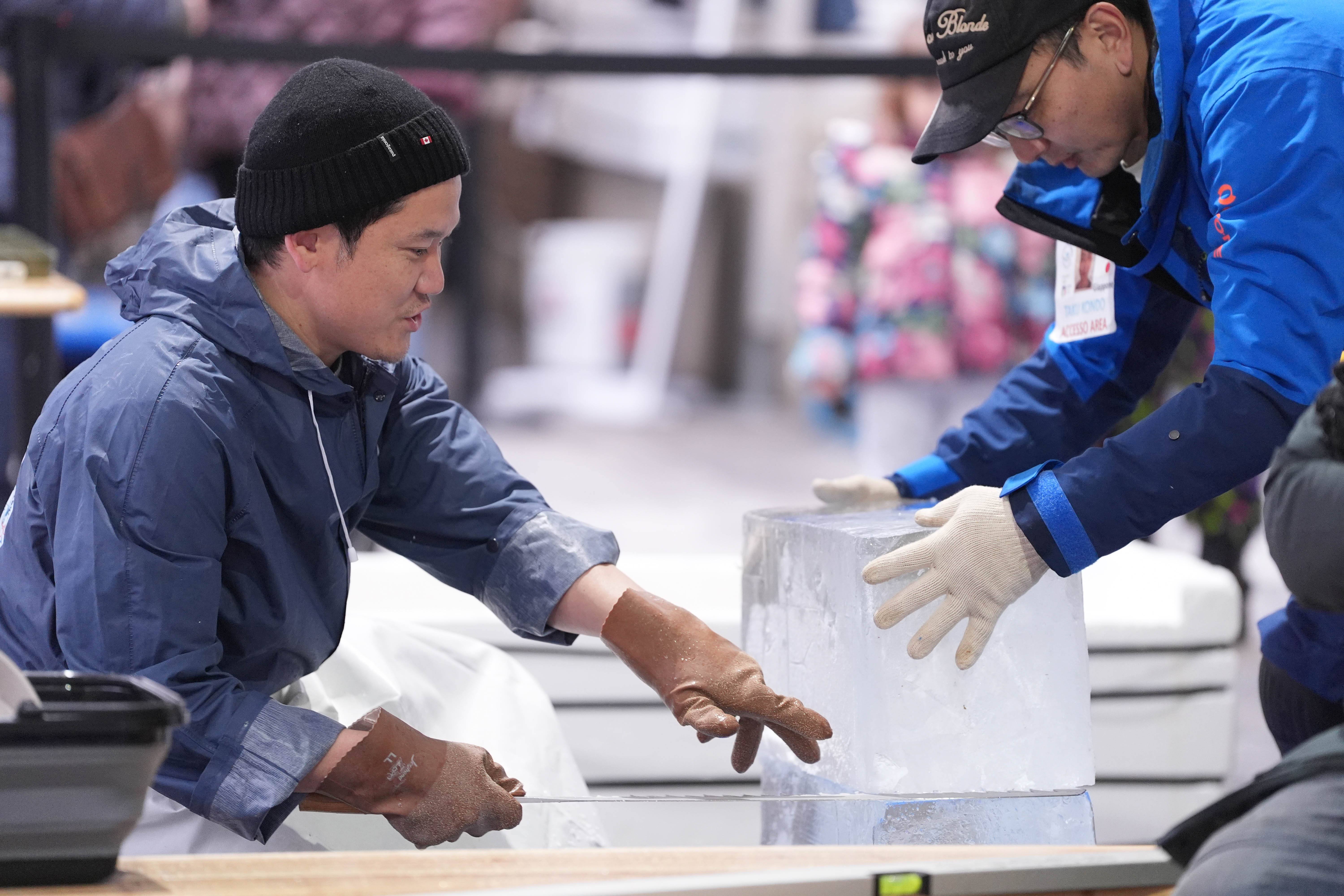 immagine di galleria