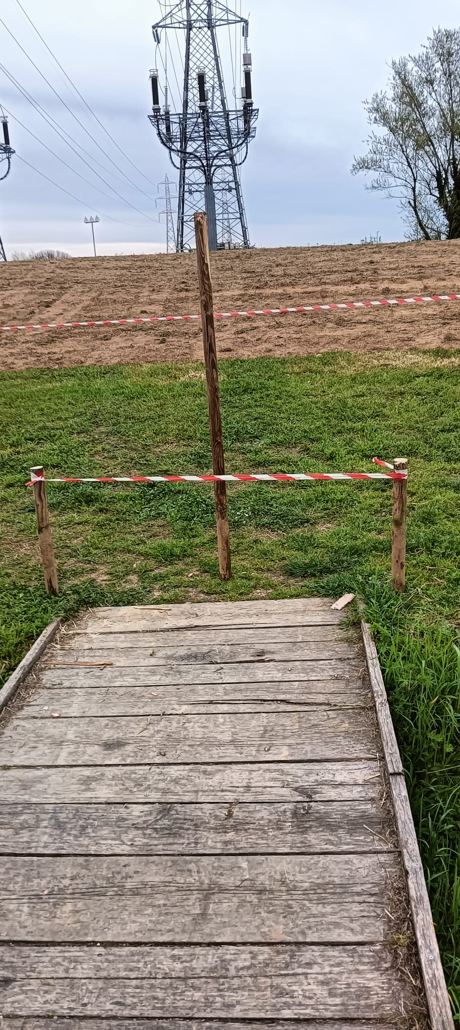 immagine di galleria 'Prato fiorito alla Bergamella'