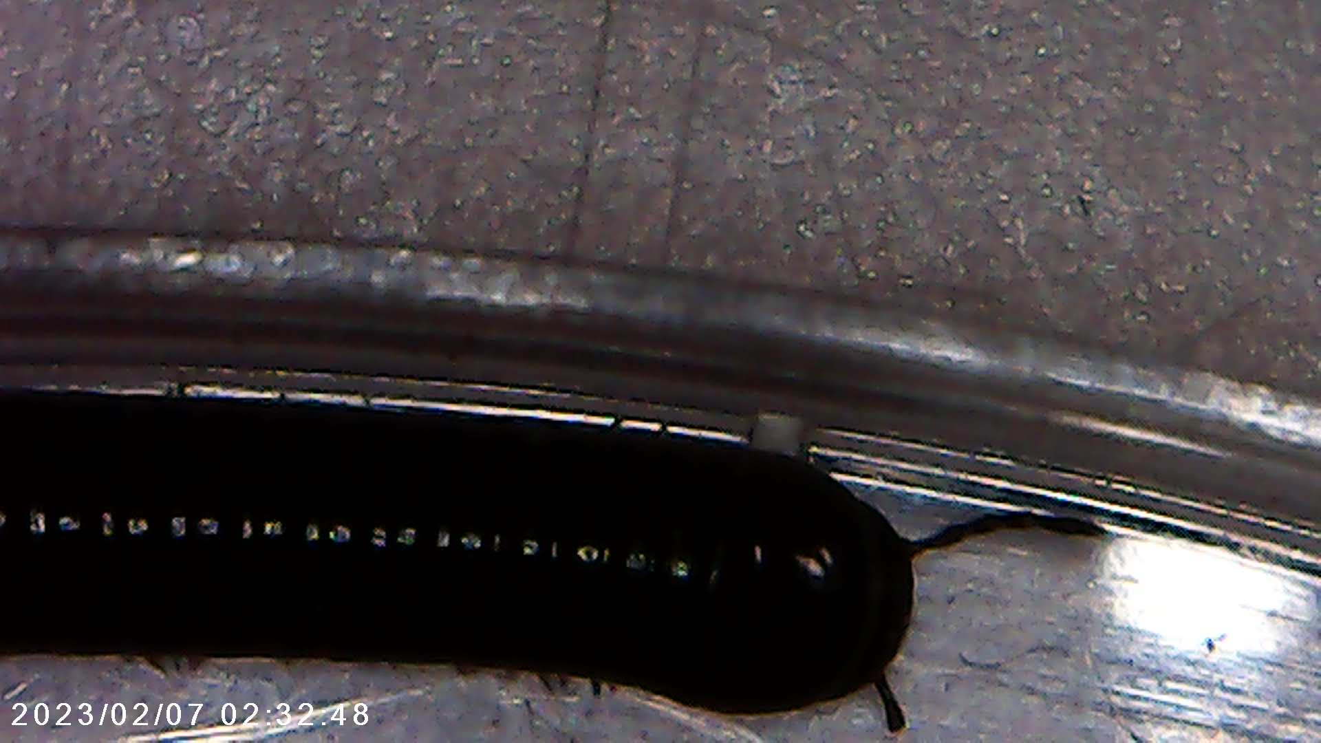 immagine di galleria