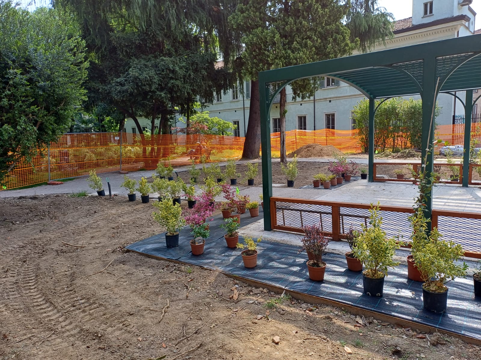 immagine di galleria