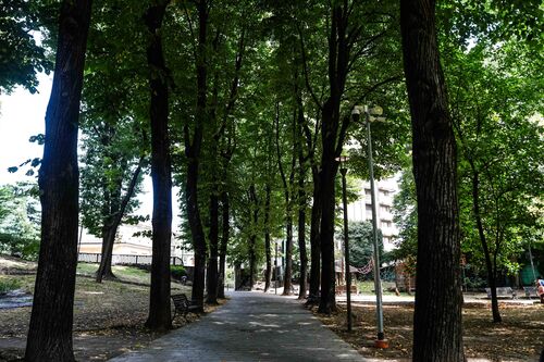 immagine di galleria 'Villa Zorn'