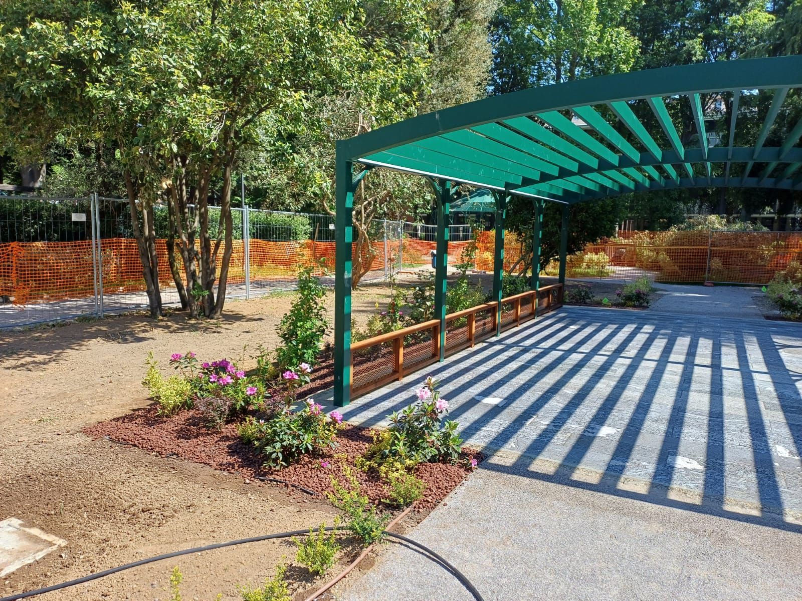 immagine di galleria