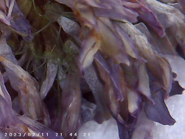 immagine di galleria