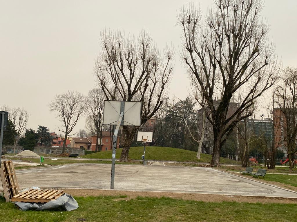 immagine di galleria