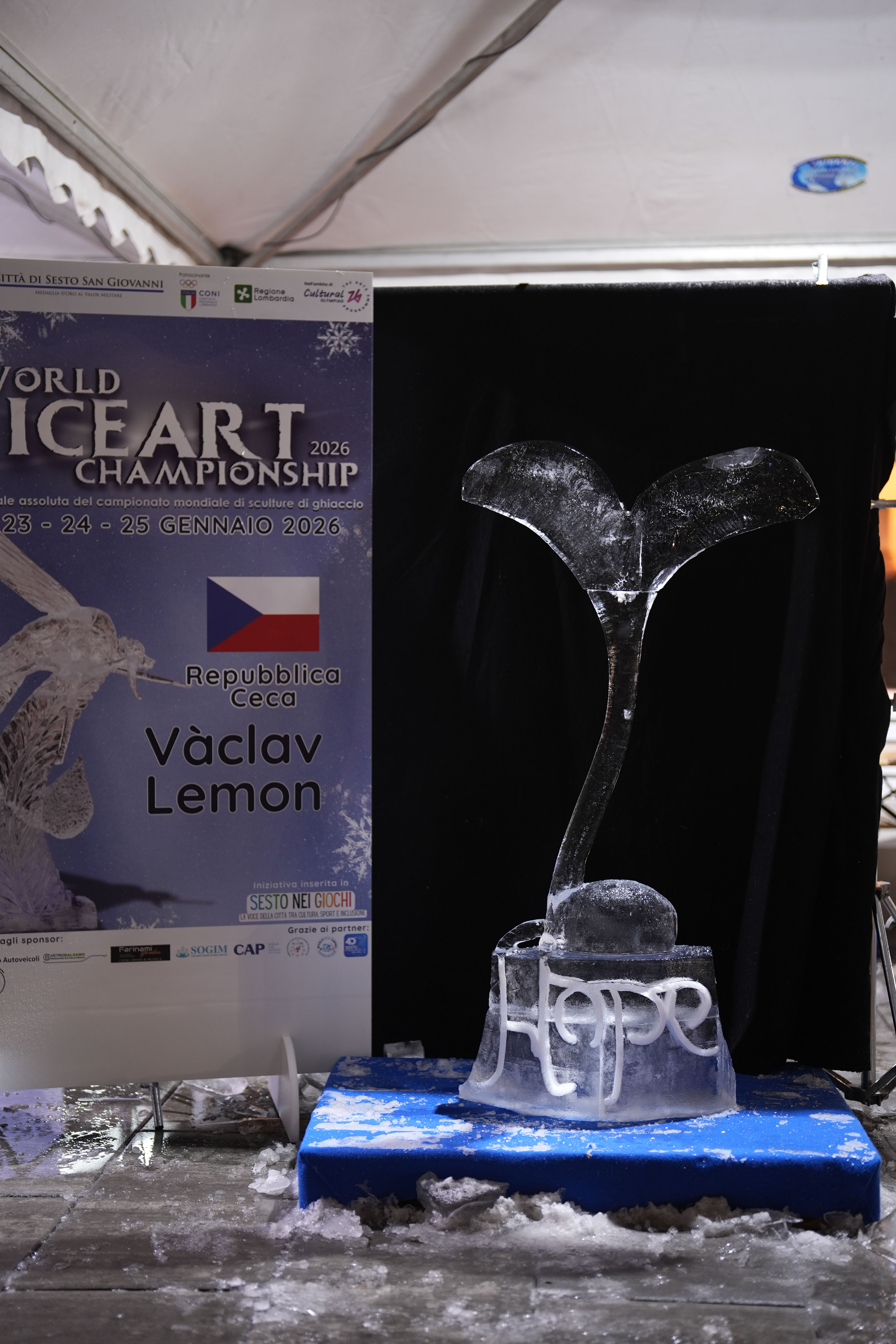 immagine di galleria 'Finale assoluta del Campionato “World Ice Art Championship”'