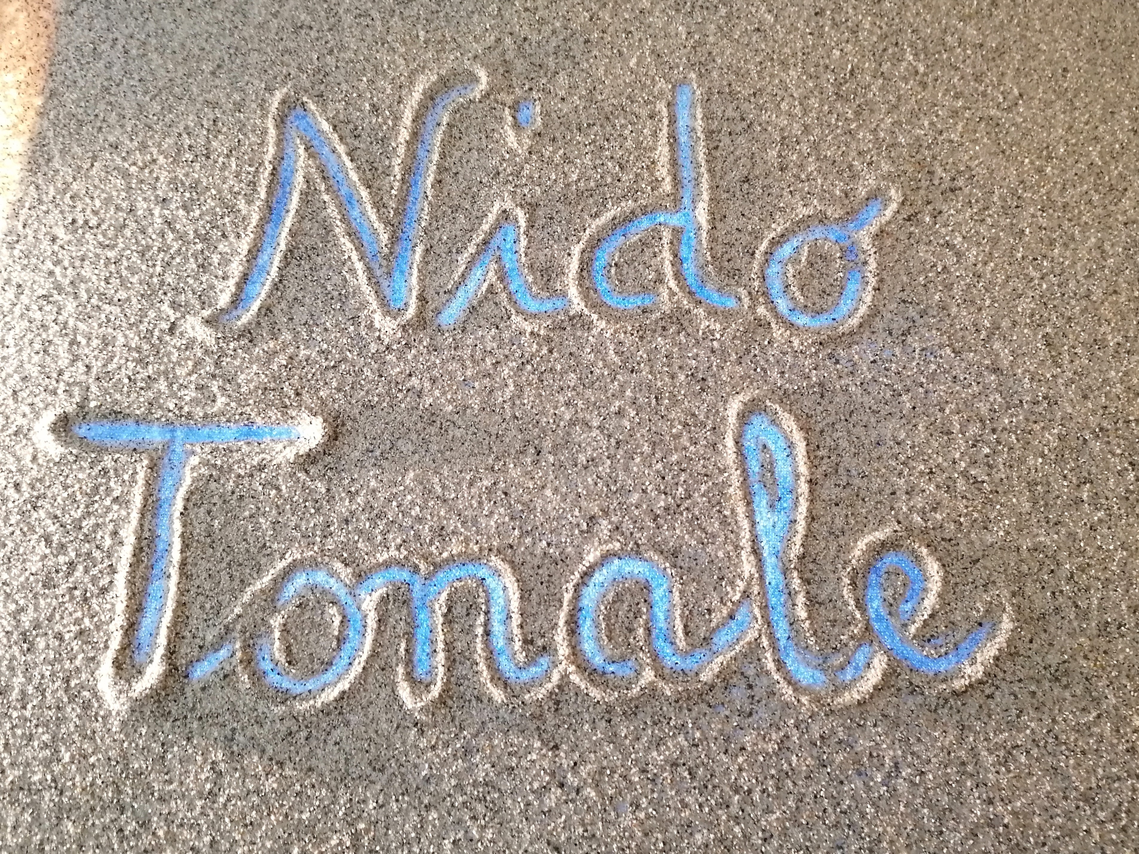 immagine di galleria 'Nido Tonale'