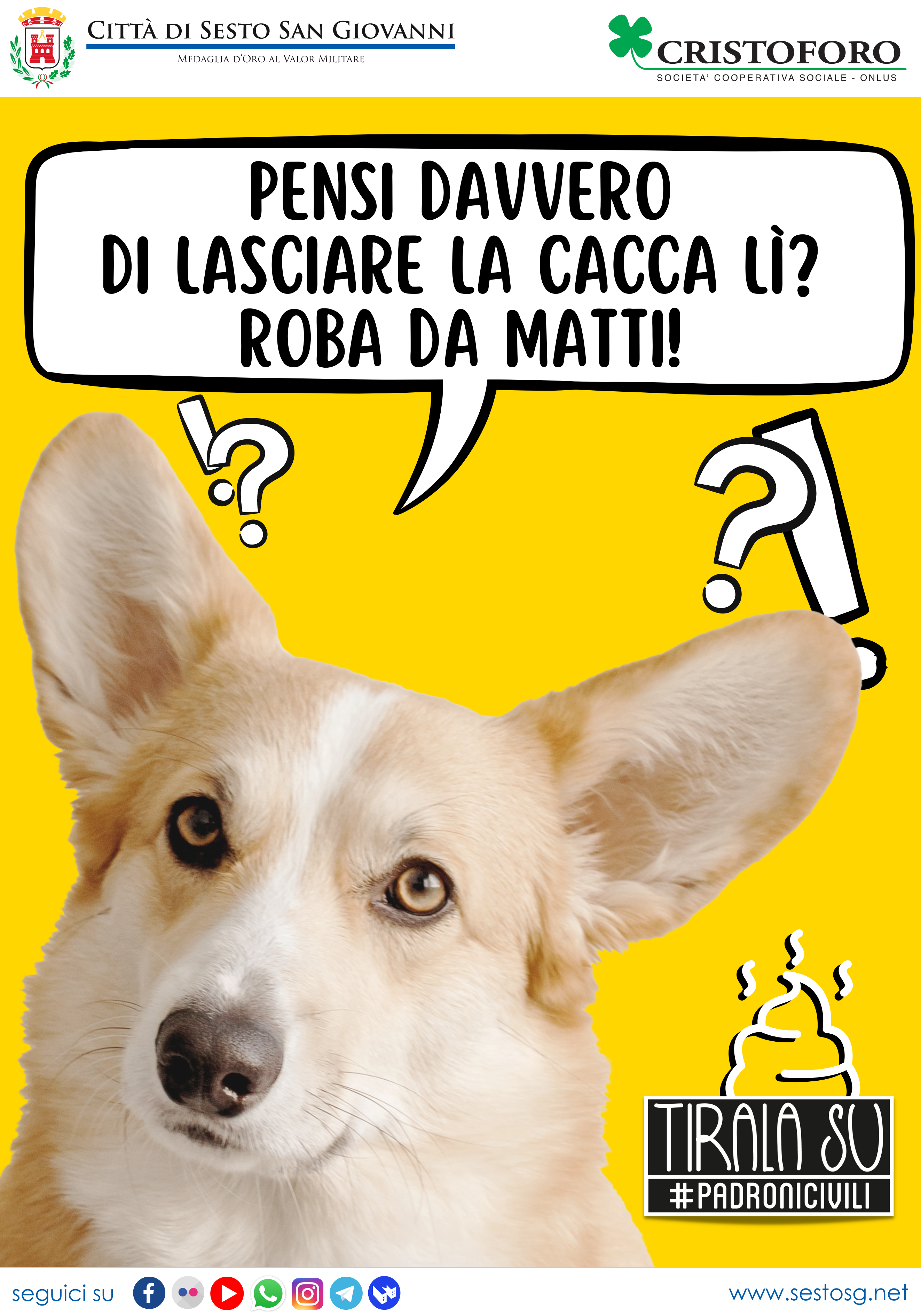 immagine di galleria