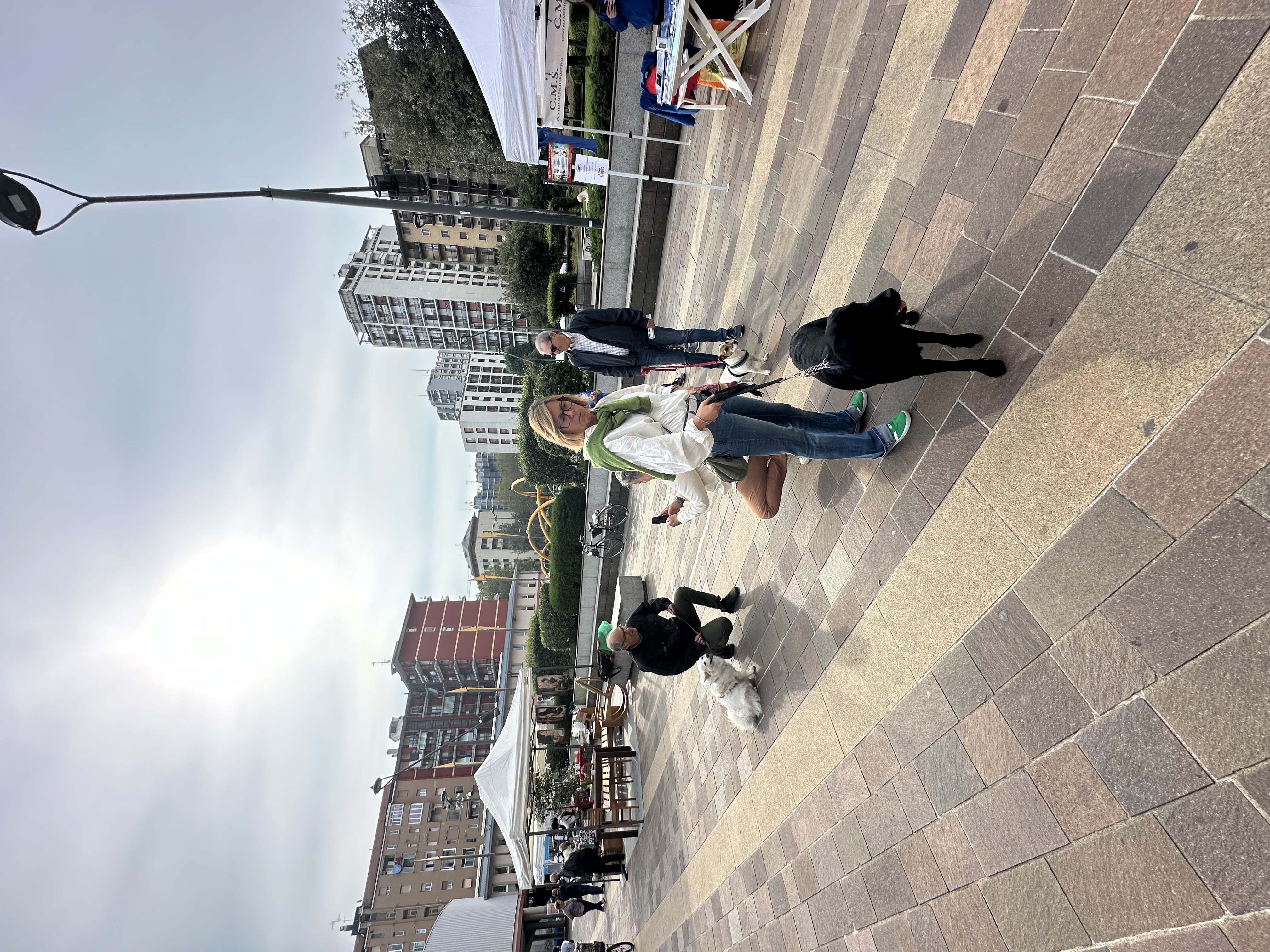 immagine di galleria