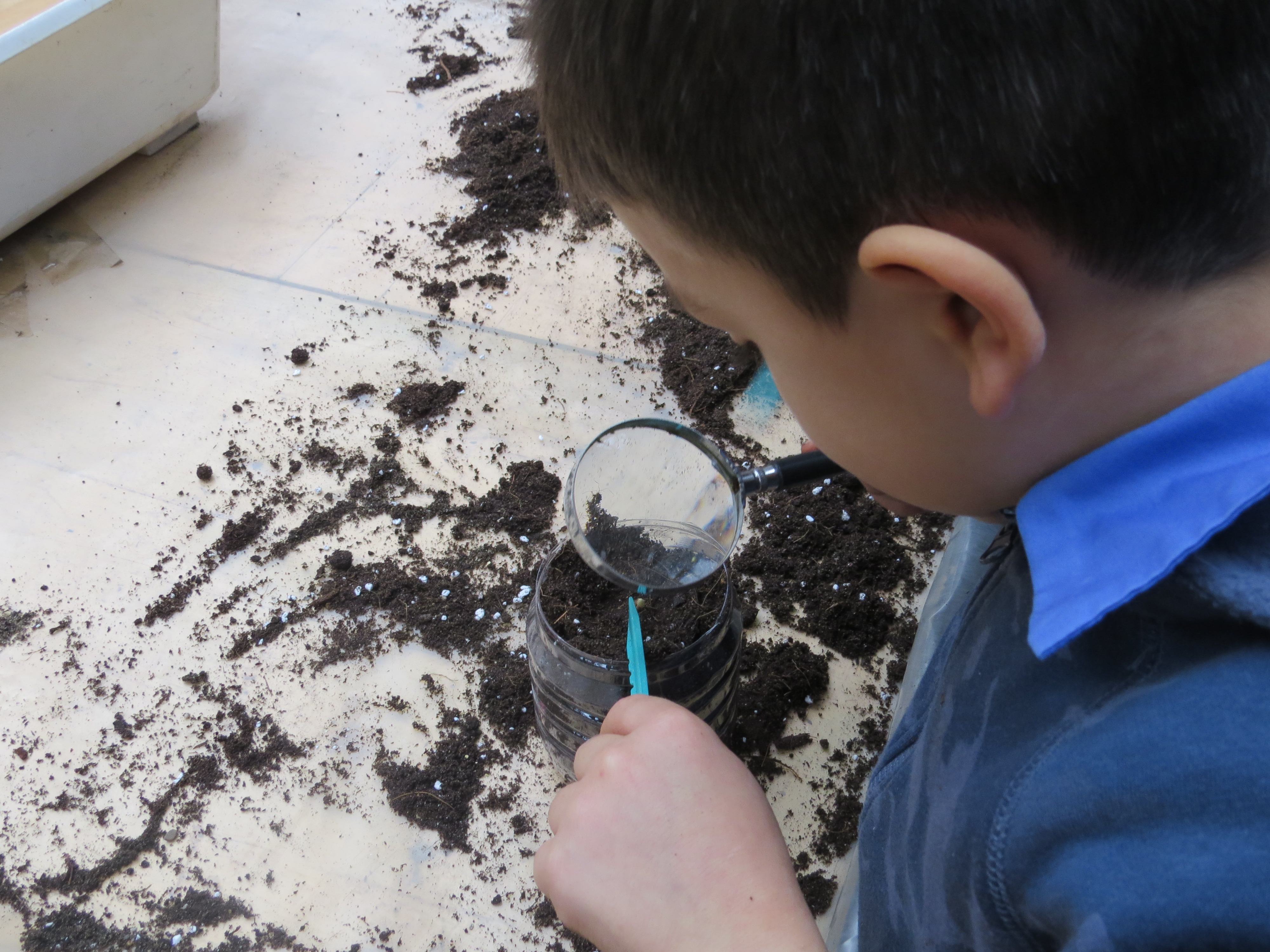 immagine di galleria