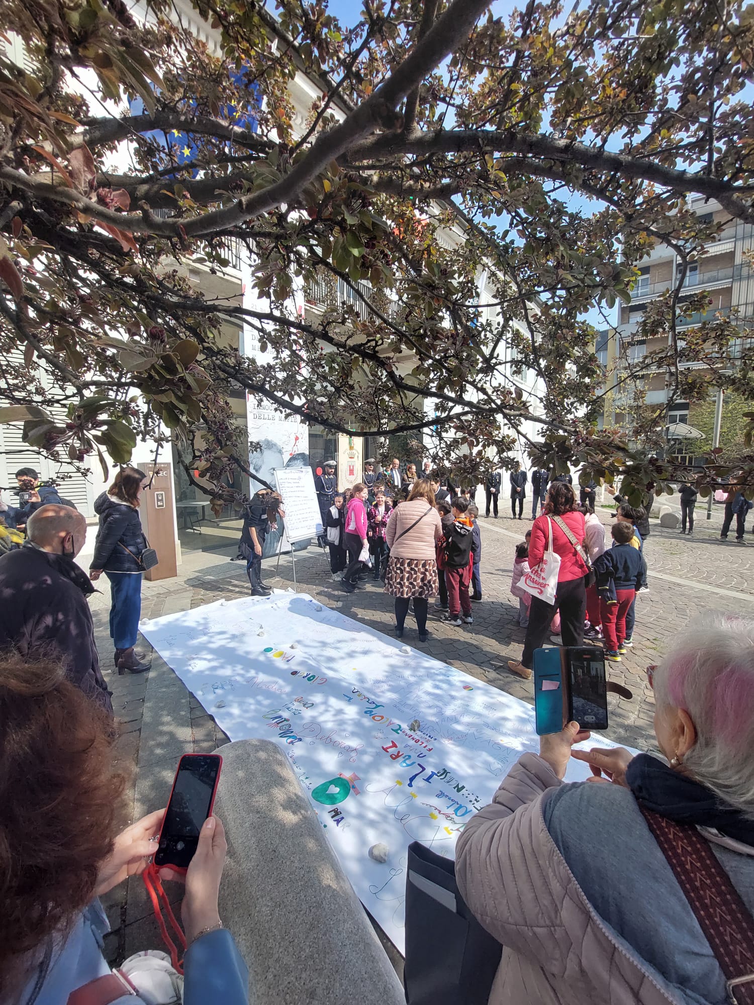 immagine di galleria