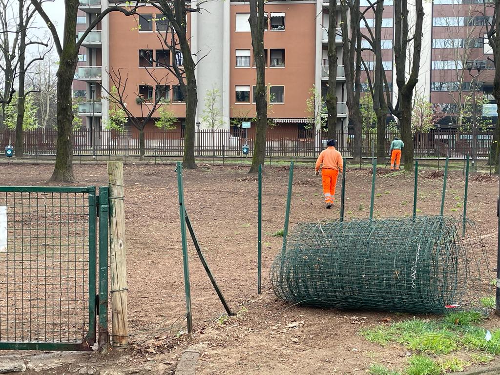 immagine di galleria