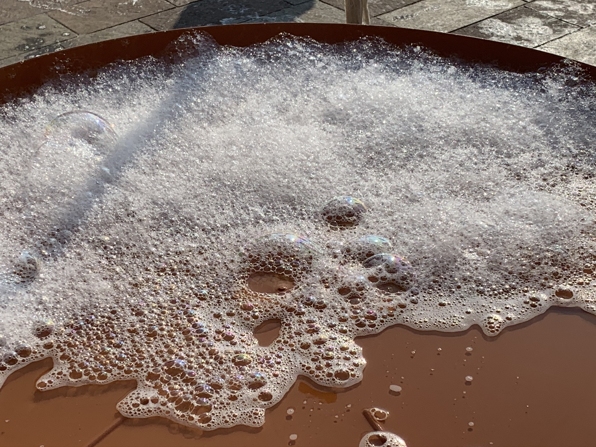 immagine di galleria