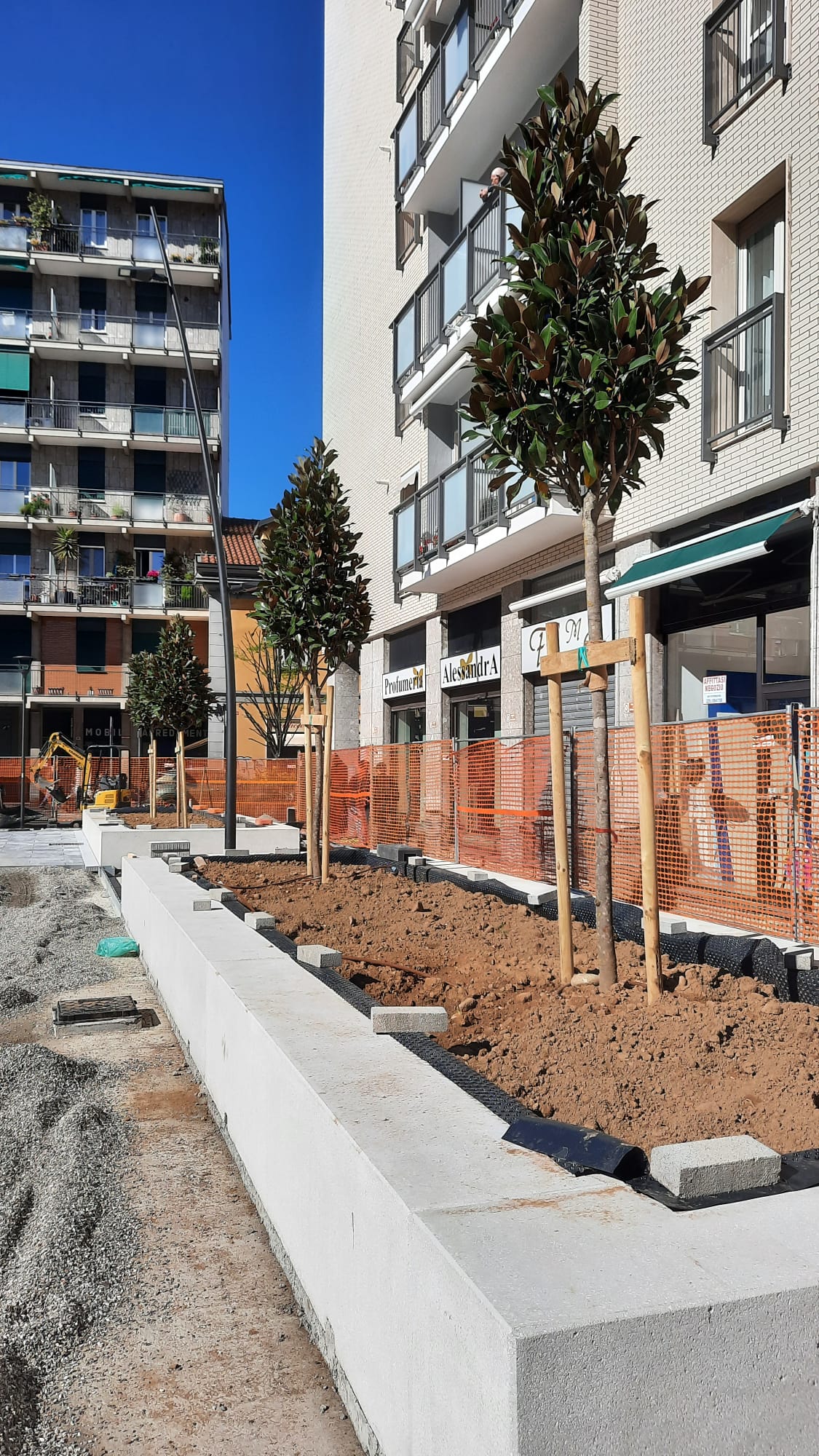 immagine di galleria