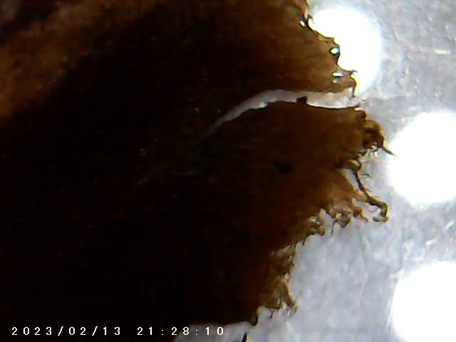 immagine di galleria