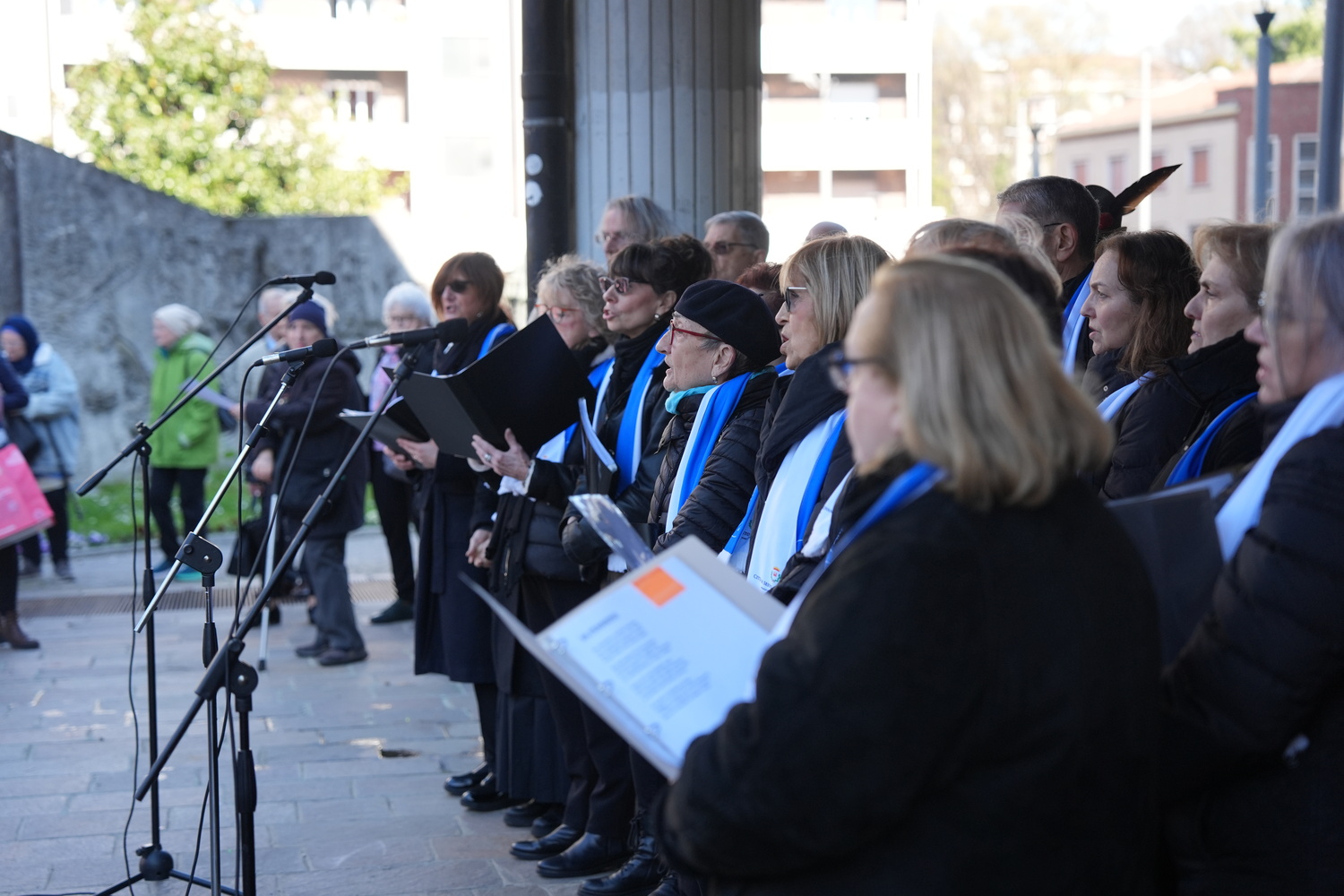 immagine di galleria