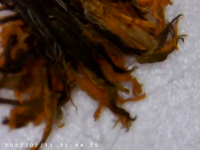 immagine di galleria