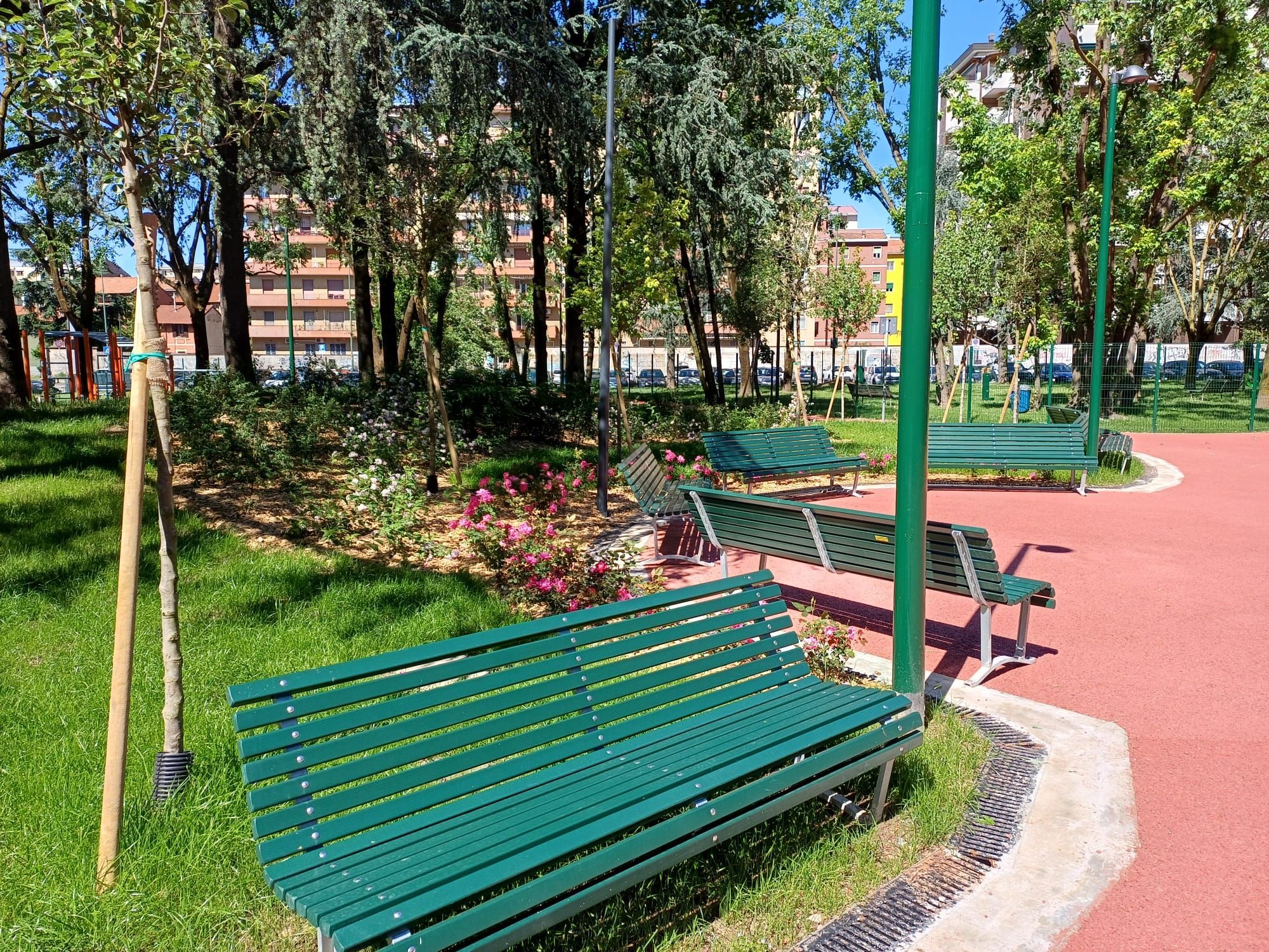 immagine di galleria