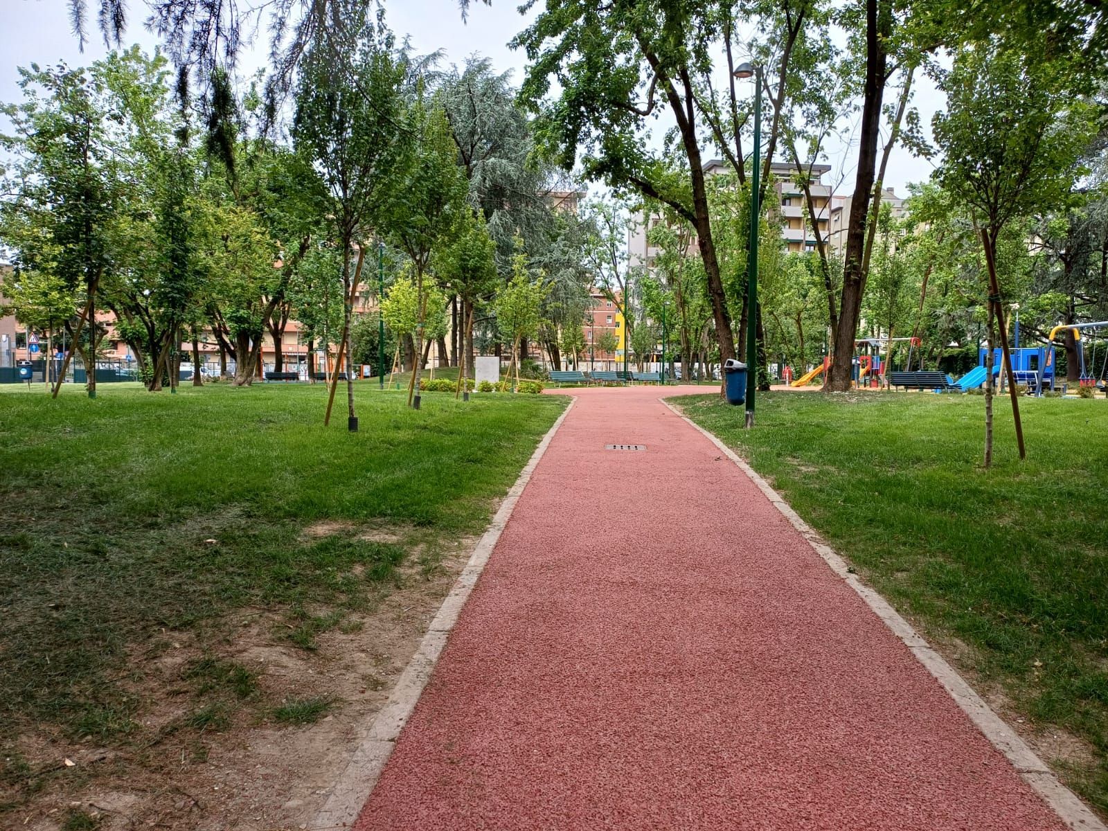 immagine di galleria