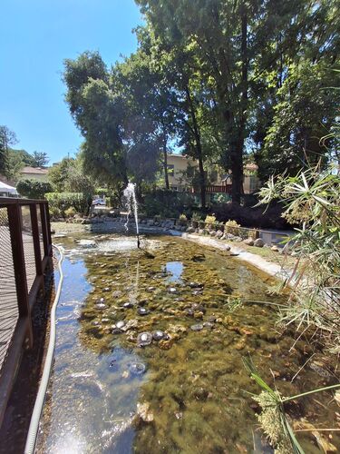immagine di galleria 'Riqualificazione del giardino di villa Mylius - seconda parte'