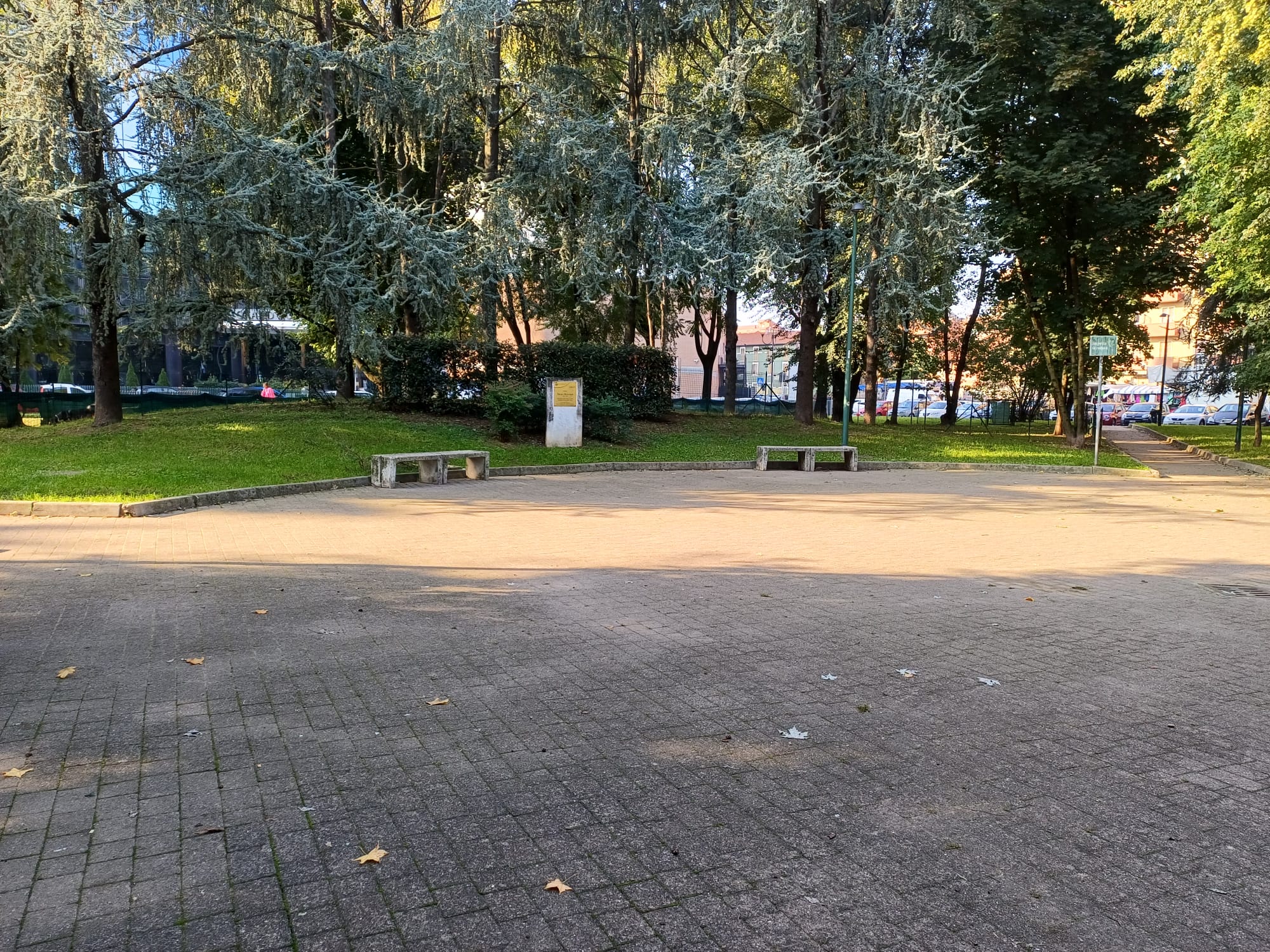 immagine di galleria