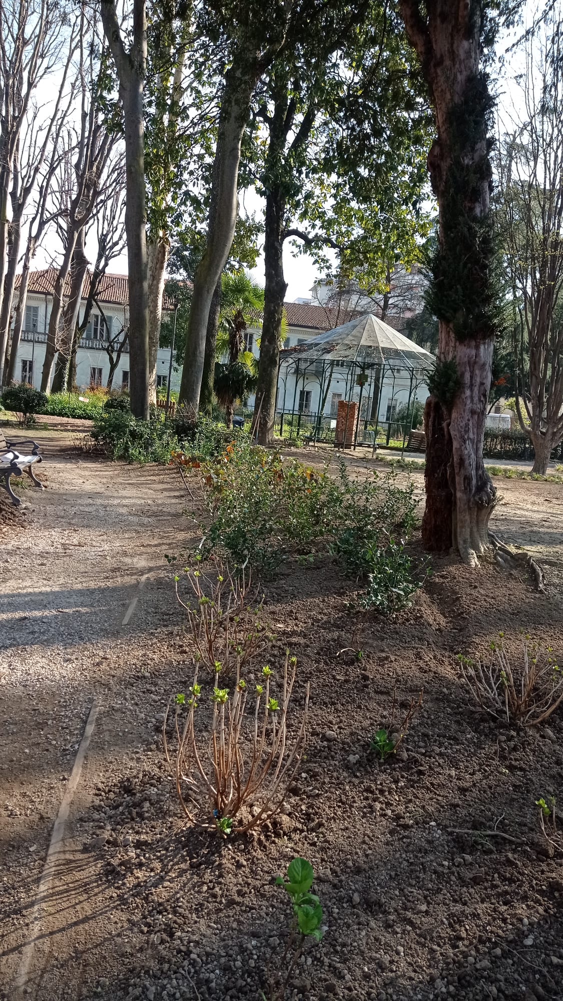 immagine di galleria 'Restyling del giardino di villa Mylius - prima parte'