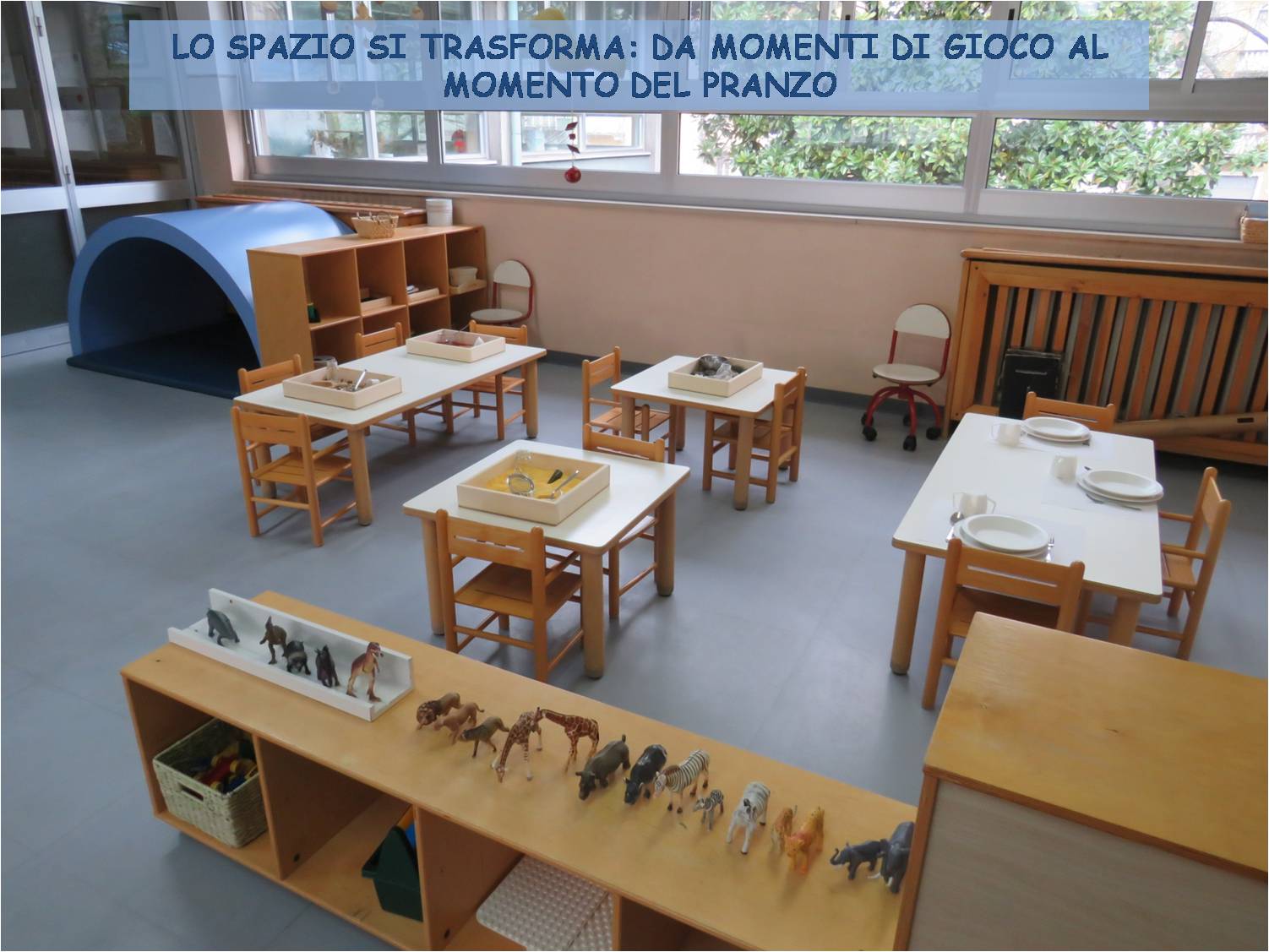 immagine di galleria