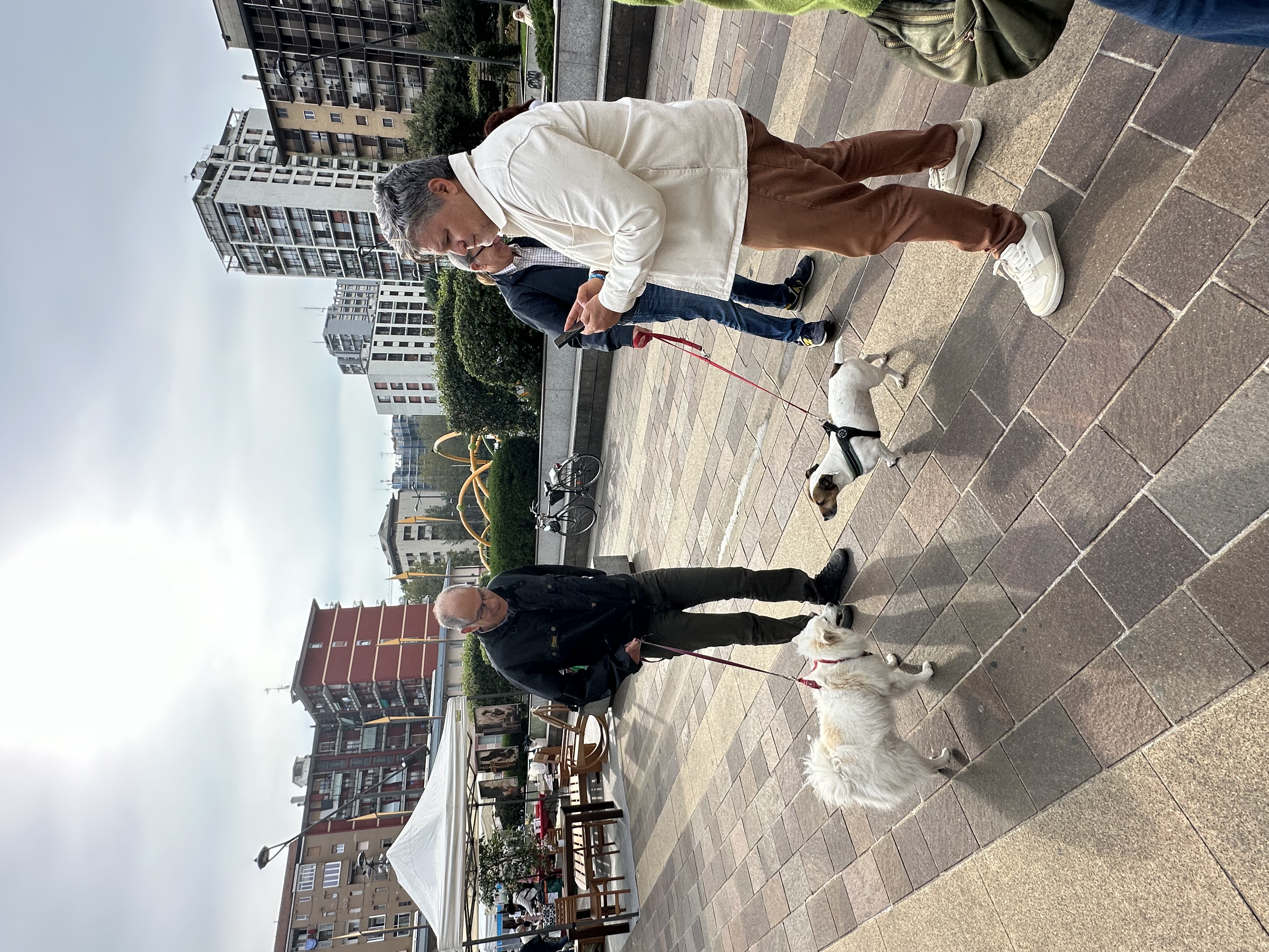 immagine di galleria 'Festa dello Sport, del Volontariato e della Salute 2024'