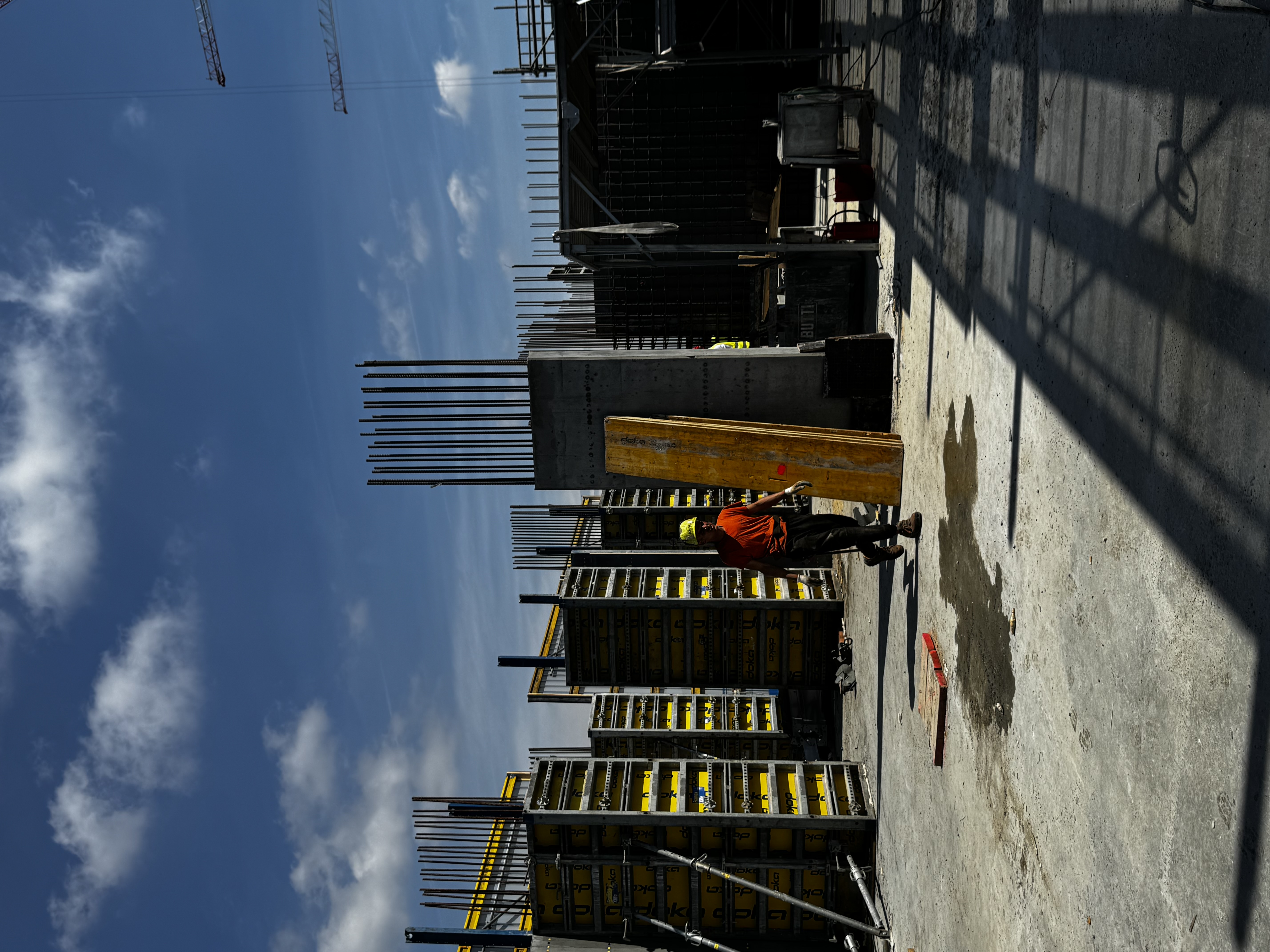 immagine di galleria