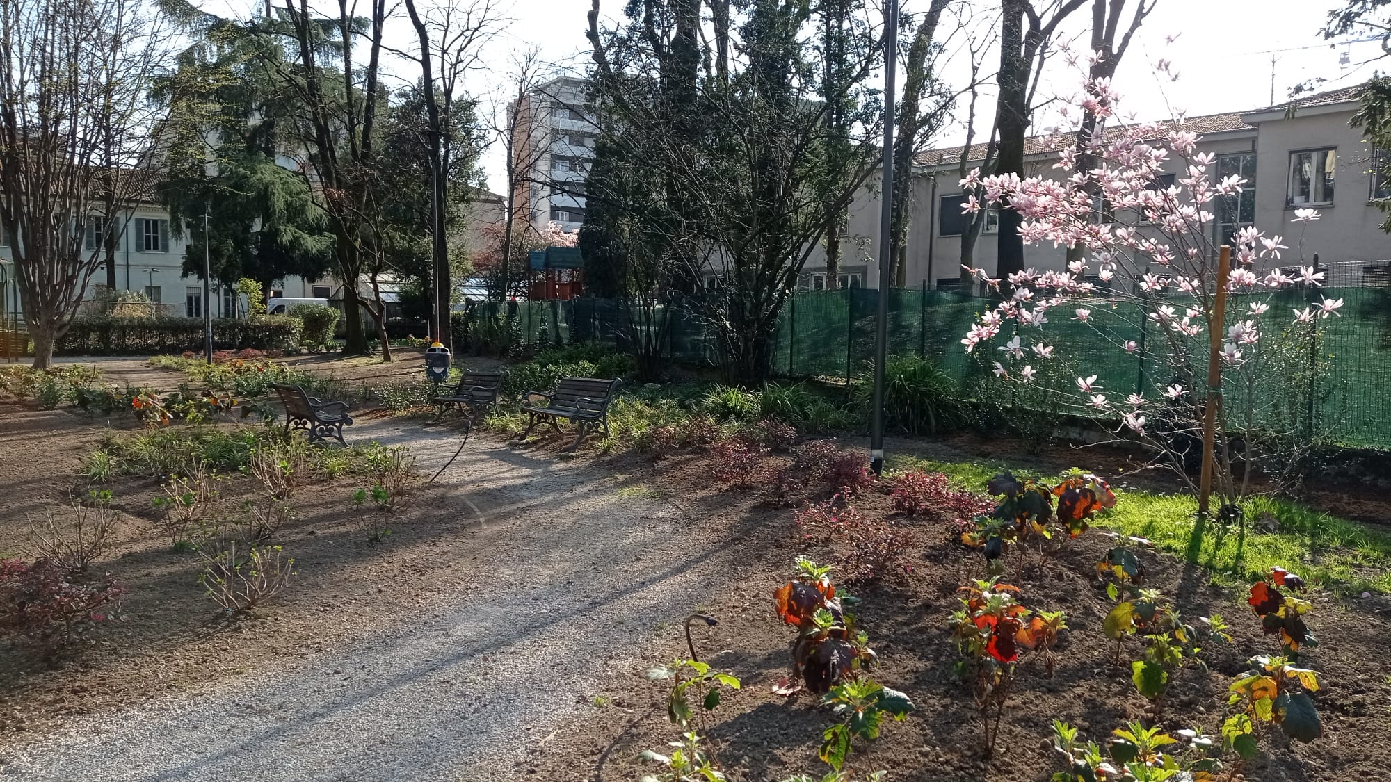 immagine di galleria 'Restyling del giardino di villa Mylius - prima parte'