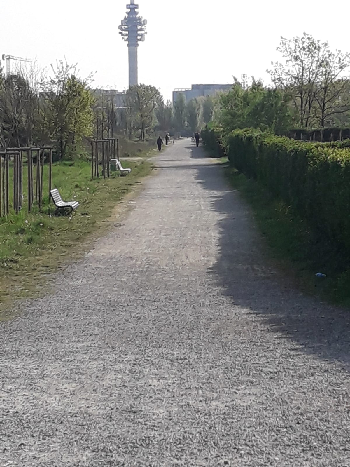 immagine di galleria 'Bicipolitana: la rete ciclabile in Città'
