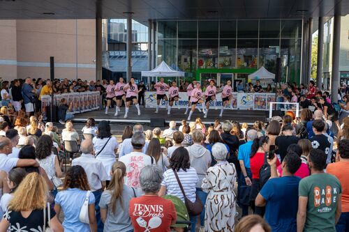 immagine di galleria 'Festa dello Sport, del Volontariato e della Salute 2026'