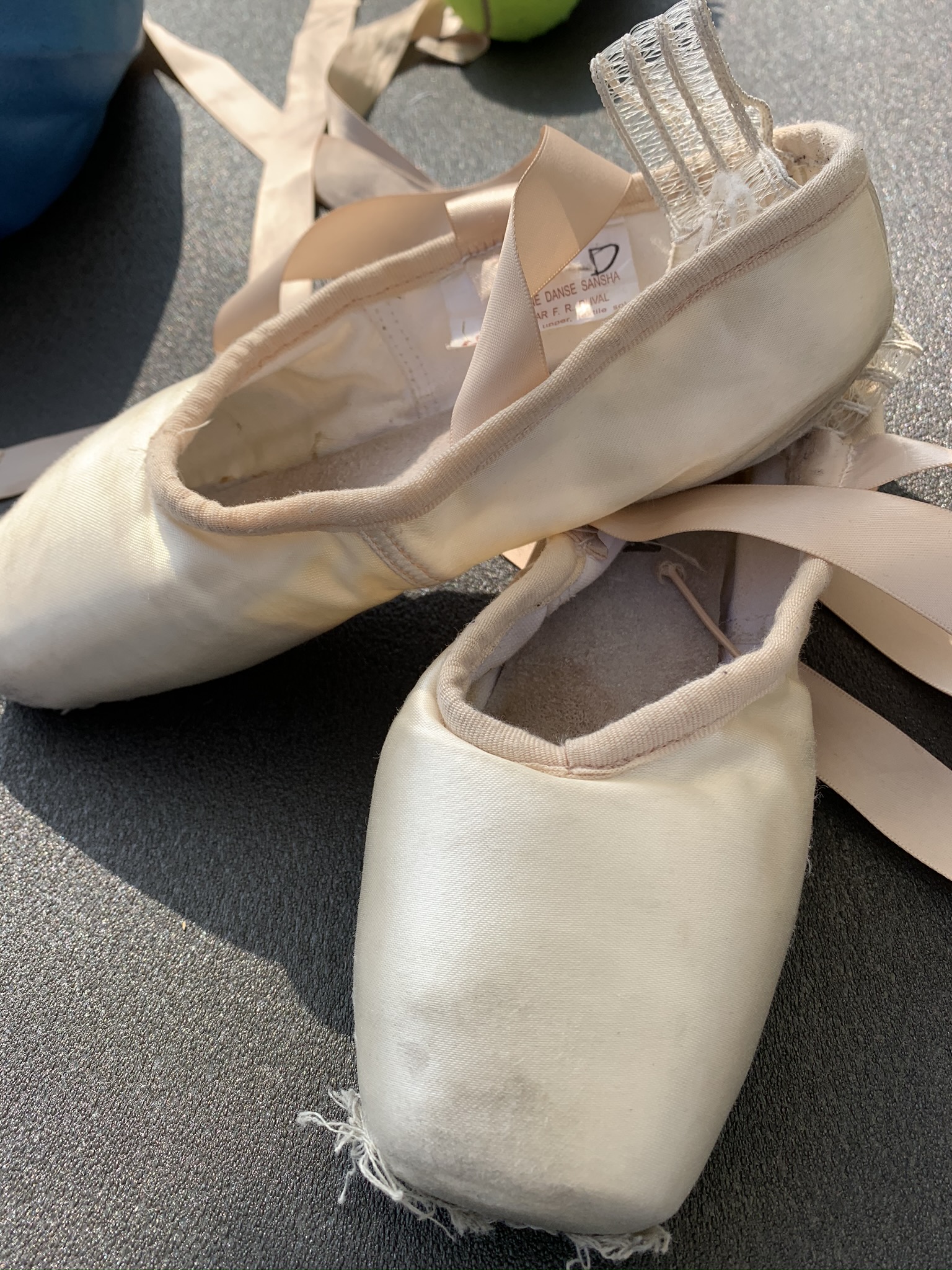 immagine di galleria