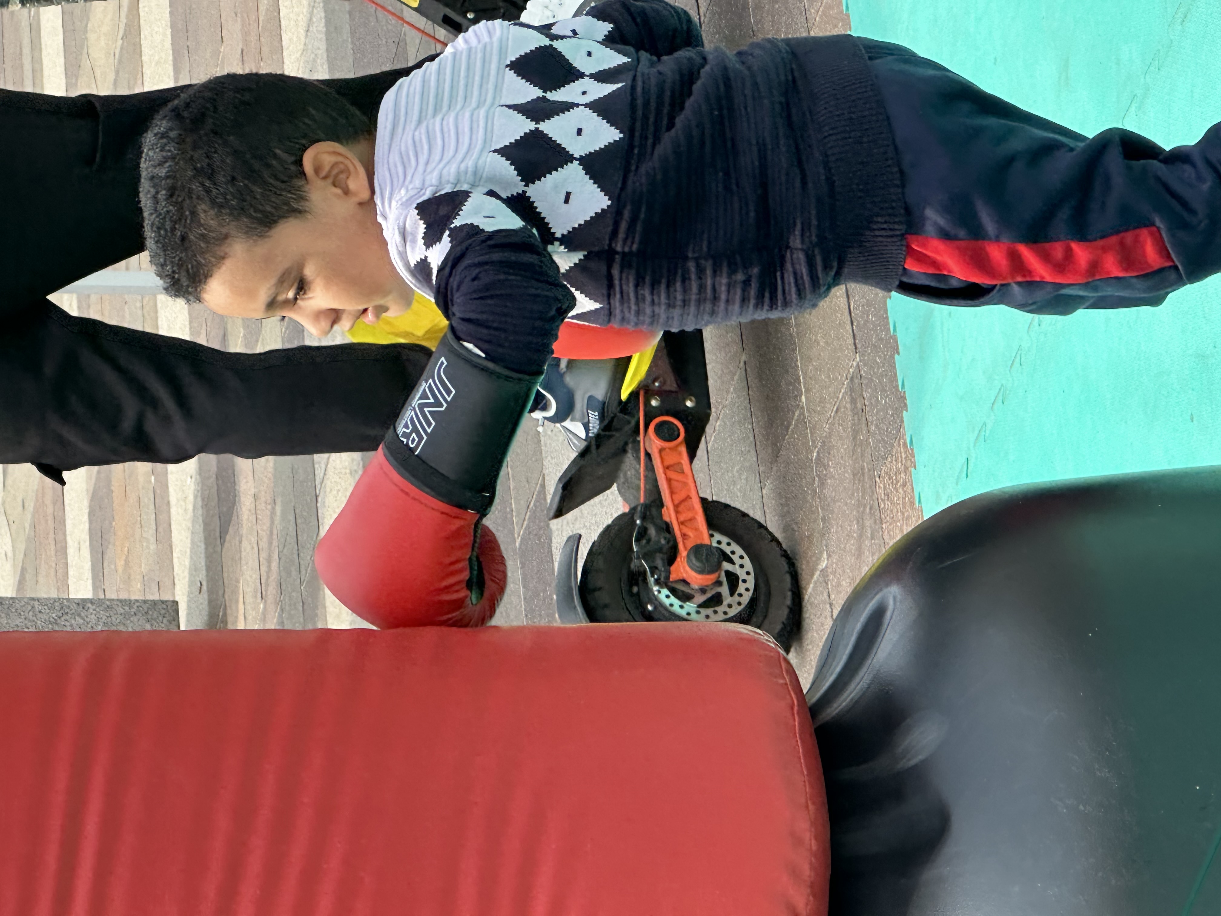 immagine di galleria