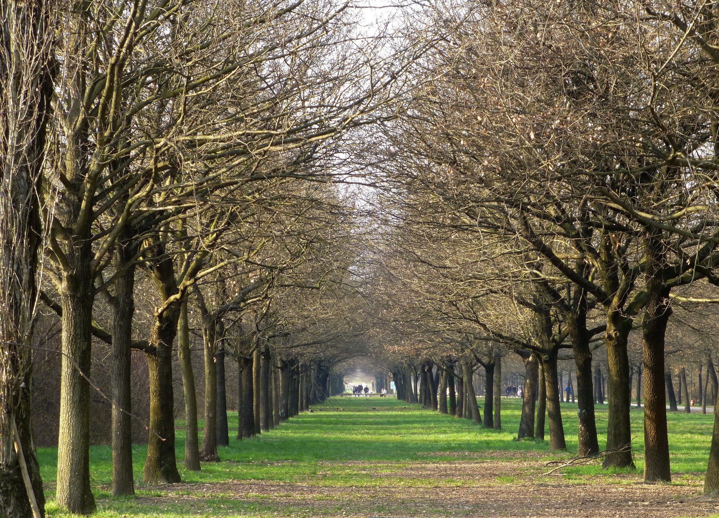 Un'immagine generica del luogo.