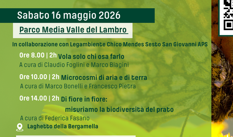 Immagine evento correlato
